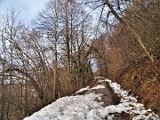 Sulle nevi dei Piani d’Artavaggio (1650 m) da Avolasio (1050 m) il 22 dicembre 2020  - FOTOGALLERY